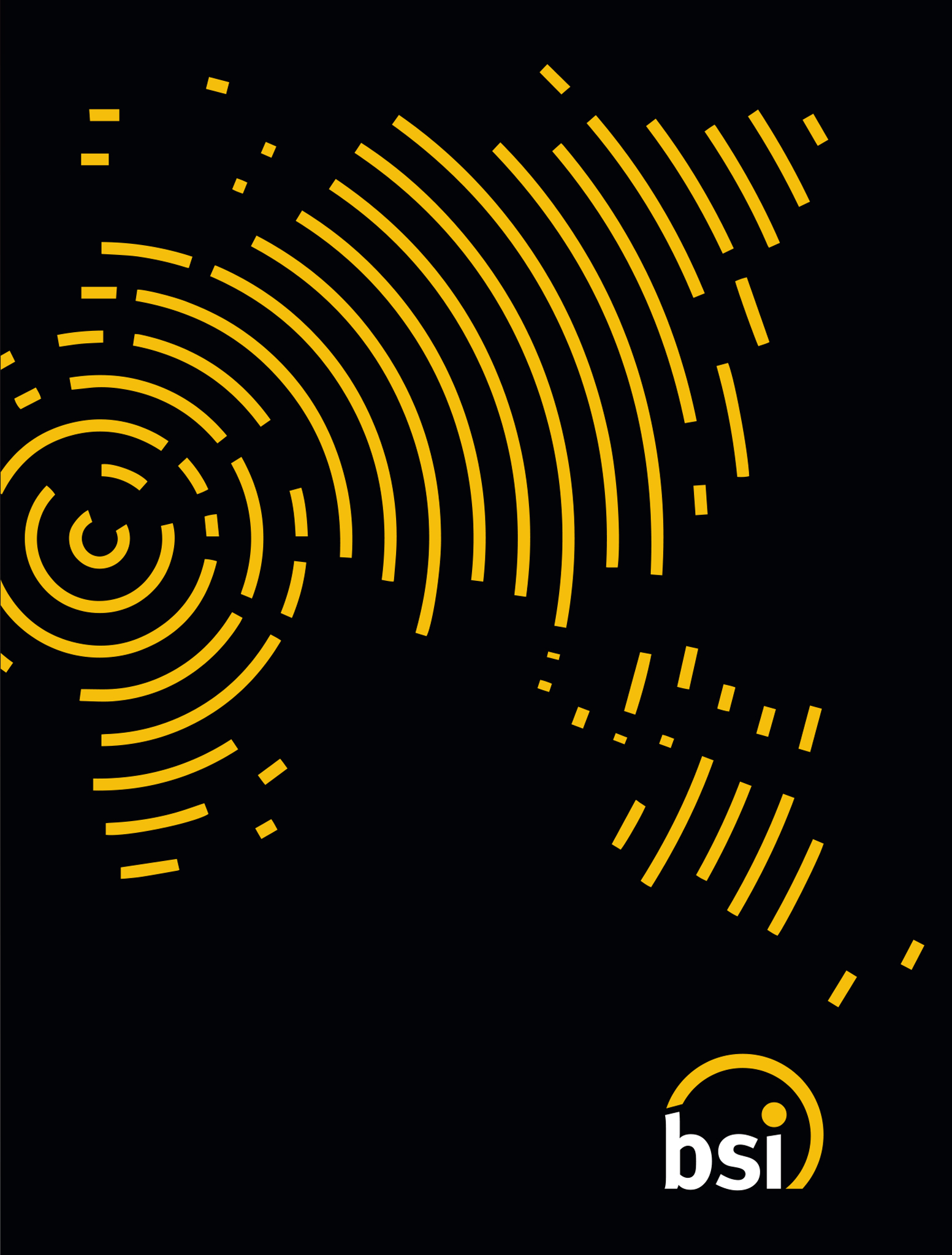 קטלוג מוצרים BSI 1 מתוך 1